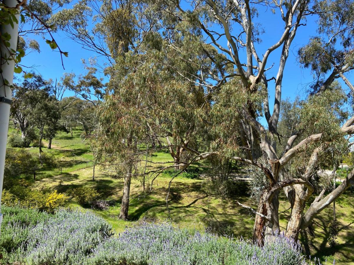 Battunga Cottages Watervale Exterior foto